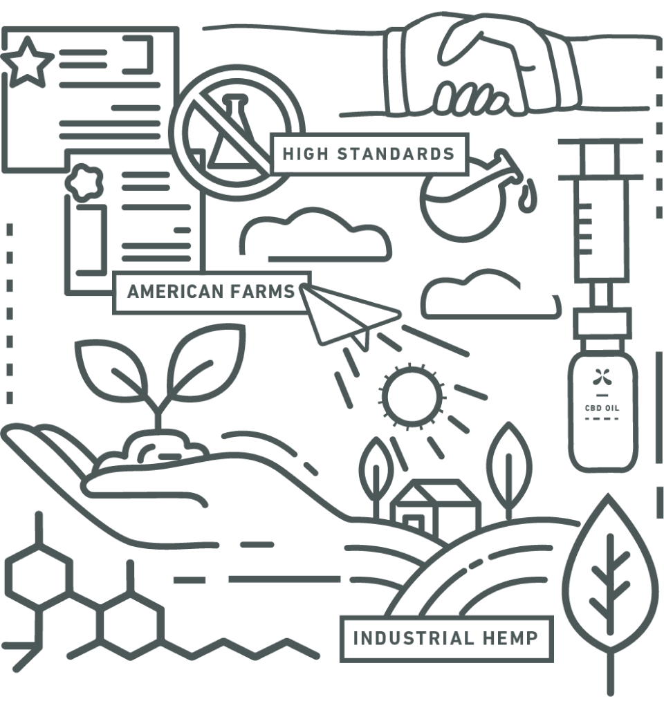 Describing the hemp farming process