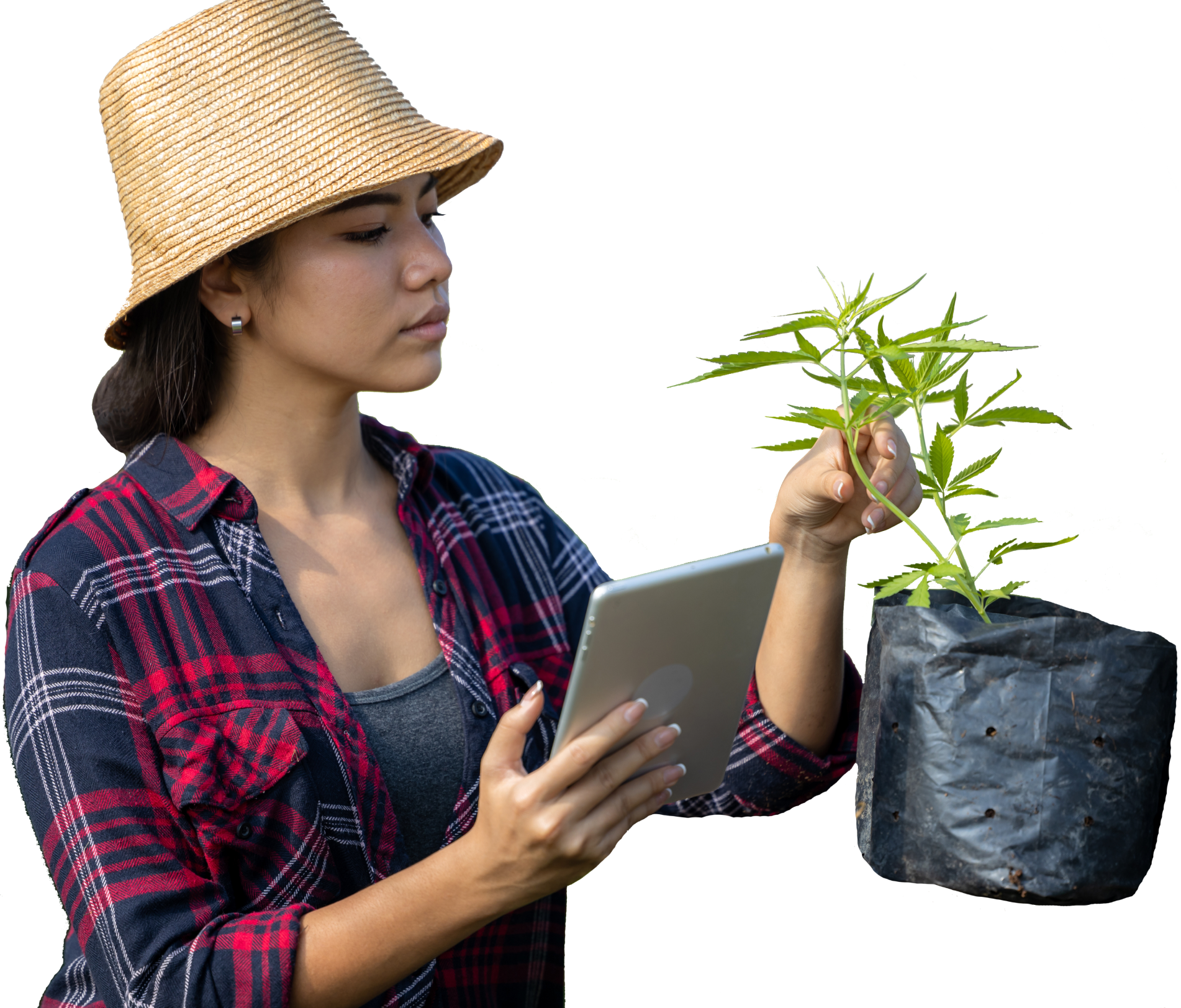 Person with Plant
