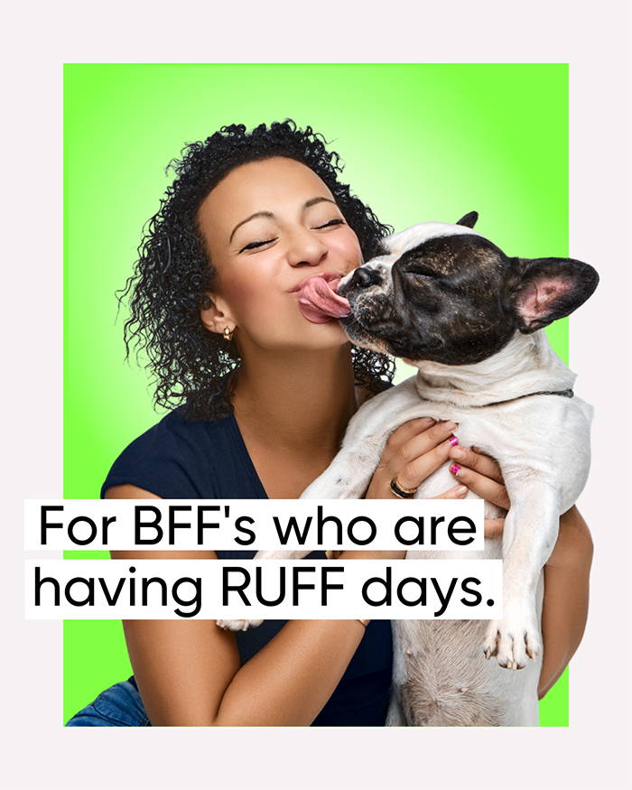 Own The Day - Help my Pet Solution from Green Roads