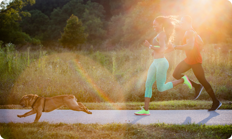 Green Roads Get a Workout Buddy